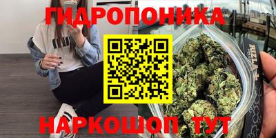 мдпв Моздок